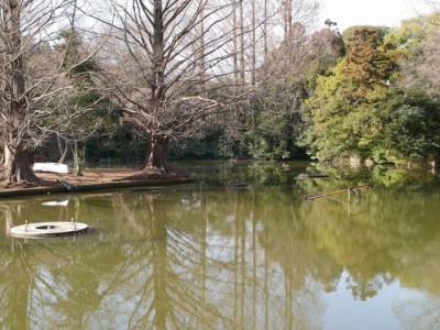 大宮公園の写真9