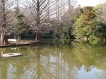 大宮公園の写真のサムネイル写真9
