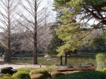 大宮公園の写真のサムネイル写真10
