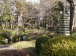 大宮公園の写真のサムネイル写真11