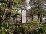 大宮公園の写真のサムネイル写真12