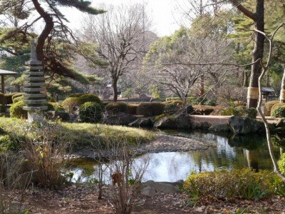 大宮公園の写真13