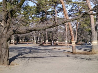 大宮公園の写真16