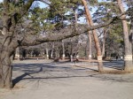 大宮公園の写真のサムネイル写真16
