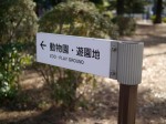 大宮公園の写真のサムネイル写真18