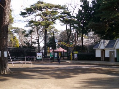 大宮公園の写真19