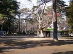 大宮公園の写真のサムネイル写真20