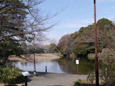 大宮公園の写真22