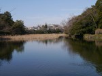 大宮公園の写真のサムネイル写真23