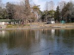 大宮公園の写真のサムネイル写真24