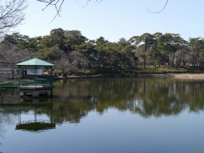 大宮公園の写真25