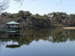 大宮公園の写真のサムネイル写真25