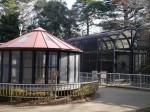 大宮公園小動物園の写真のサムネイル写真2