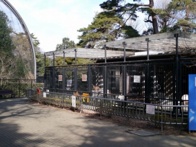 大宮公園小動物園の写真3