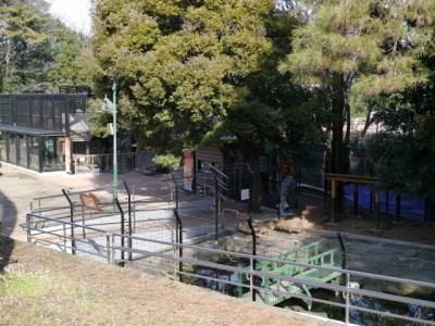 大宮公園小動物園の写真4