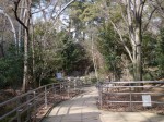 大宮公園小動物園の写真のサムネイル写真10