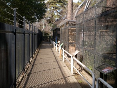 大宮公園小動物園の写真11