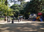 大宮公園小動物園の写真のサムネイル写真12