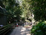 大宮公園小動物園の写真のサムネイル写真14