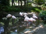 大宮公園小動物園の写真のサムネイル写真19
