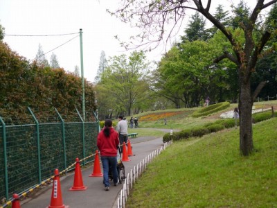 大崎公園の写真3