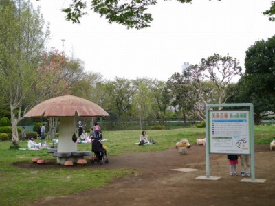 大崎公園の写真7