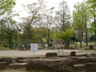 大崎公園の写真20