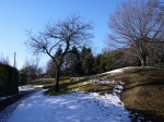 大崎公園の写真のサムネイル写真24