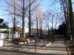 大崎公園の写真のサムネイル写真29