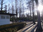 大崎公園の写真のサムネイル写真33