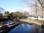 大崎公園の写真のサムネイル写真36