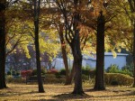 大崎公園の写真のサムネイル写真42