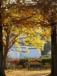 大崎公園の写真のサムネイル写真43