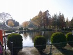 大崎公園の写真のサムネイル写真44