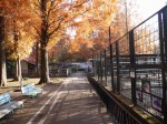 大崎公園の写真のサムネイル写真45