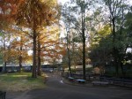 大崎公園の写真のサムネイル写真46