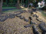 大崎公園の写真のサムネイル写真52