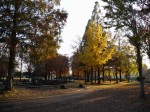 大崎公園の写真のサムネイル写真54