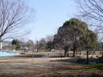 岩槻城址公園の写真のサムネイル写真3