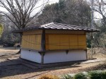 岩槻城址公園の写真のサムネイル写真6