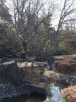 岩槻城址公園の写真のサムネイル写真9