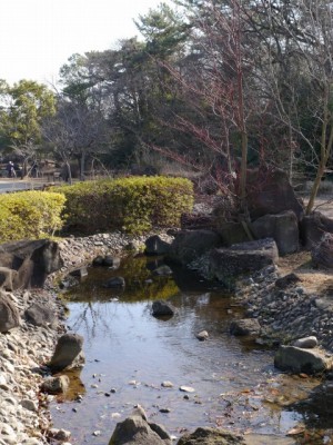 岩槻城址公園の写真10