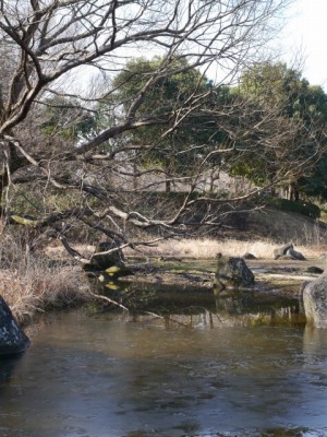 岩槻城址公園の写真13