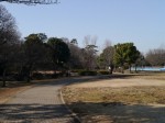 岩槻城址公園の写真のサムネイル写真15