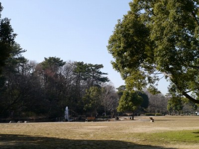 岩槻城址公園の写真19