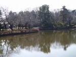 岩槻城址公園の写真のサムネイル写真23