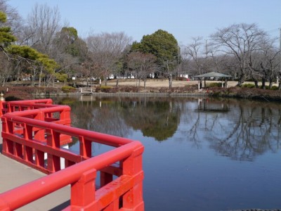 岩槻城址公園の写真24