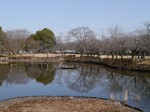 岩槻城址公園の写真のサムネイル写真25