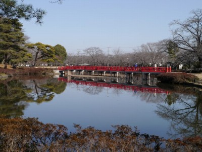 岩槻城址公園の写真27