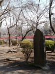 岩槻城址公園の写真のサムネイル写真28